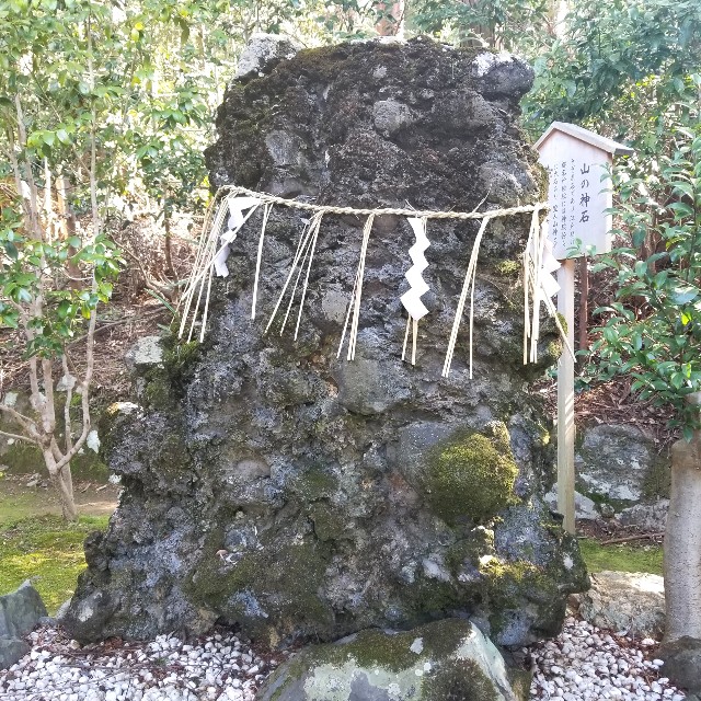 f:id:atoriatoriatori:20200321221937j:image