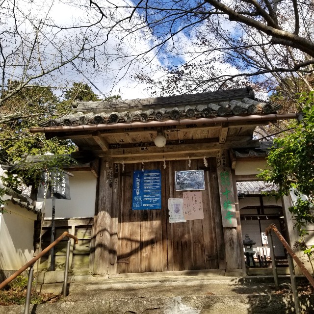 f:id:atoriatoriatori:20200326103700j:image