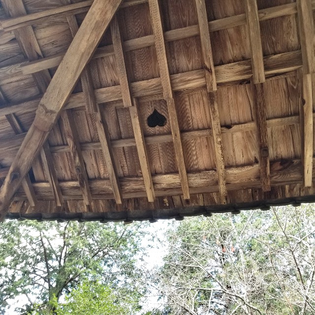 f:id:atoriatoriatori:20200326105616j:image