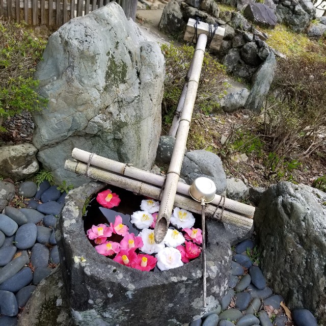 f:id:atoriatoriatori:20200326105629j:image