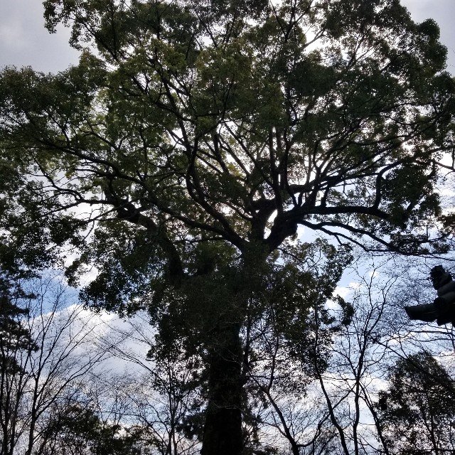 f:id:atoriatoriatori:20200326110436j:image