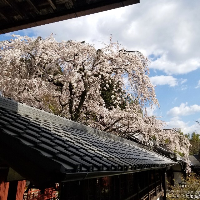 f:id:atoriatoriatori:20200326111831j:image