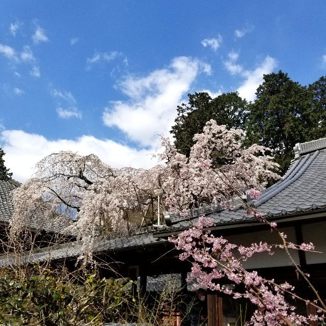 f:id:atoriatoriatori:20200326111943j:image