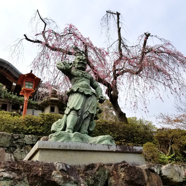 f:id:atoriatoriatori:20200406093642j:image
