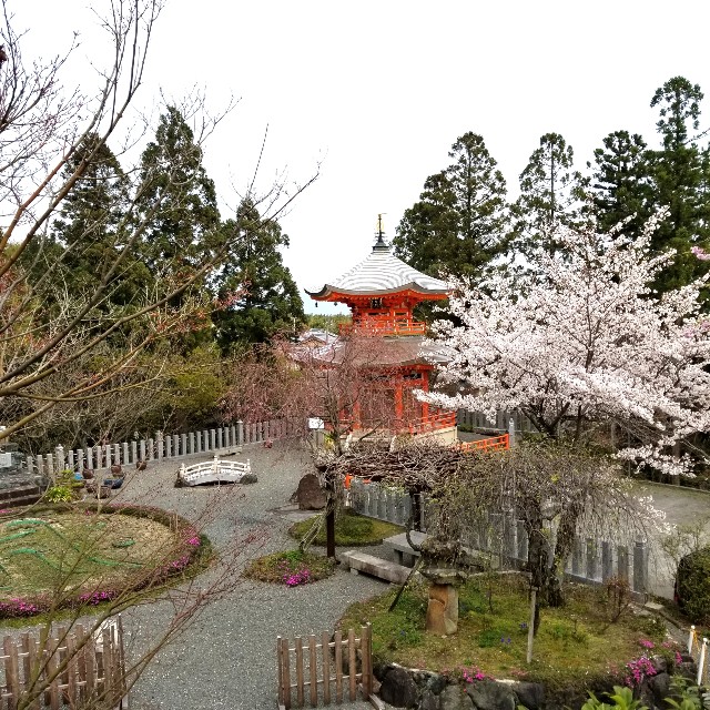 f:id:atoriatoriatori:20200406120616j:image