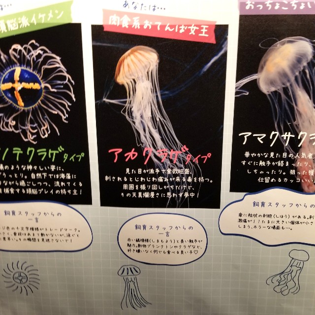 f:id:atoriatoriatori:20200728095206j:image