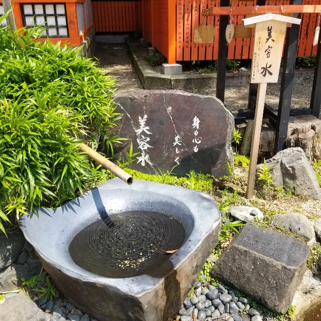 f:id:atoriatoriatori:20200807134704j:image