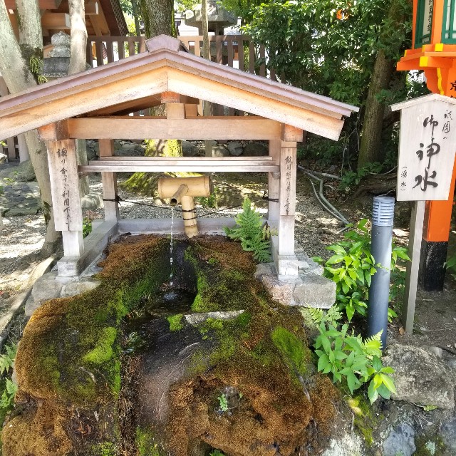 f:id:atoriatoriatori:20200807142929j:image