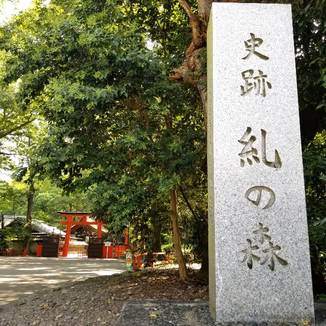 f:id:atoriatoriatori:20200815153437j:image