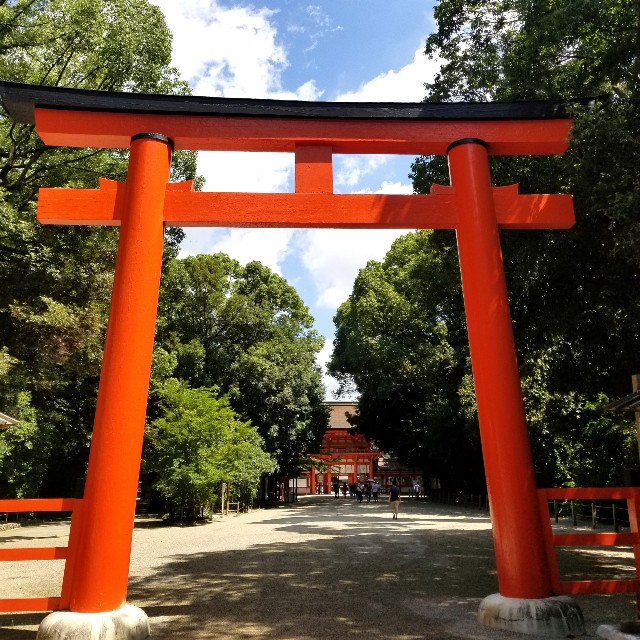 f:id:atoriatoriatori:20200815155243j:image