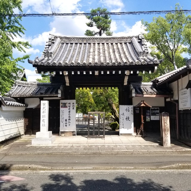 f:id:atoriatoriatori:20200820135917j:image