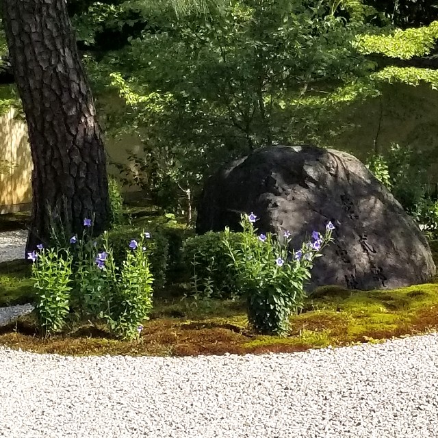 f:id:atoriatoriatori:20200820180805j:image