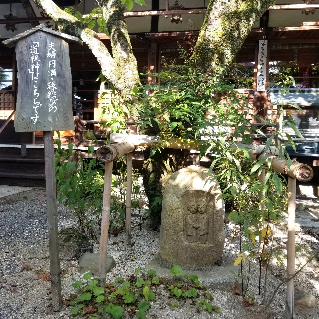 f:id:atoriatoriatori:20200826135630j:image