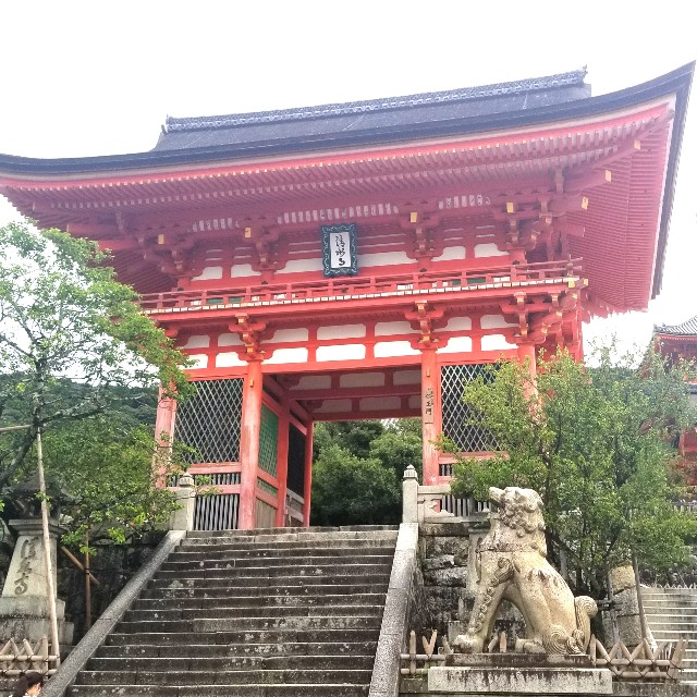 f:id:atoriatoriatori:20200904142222j:image