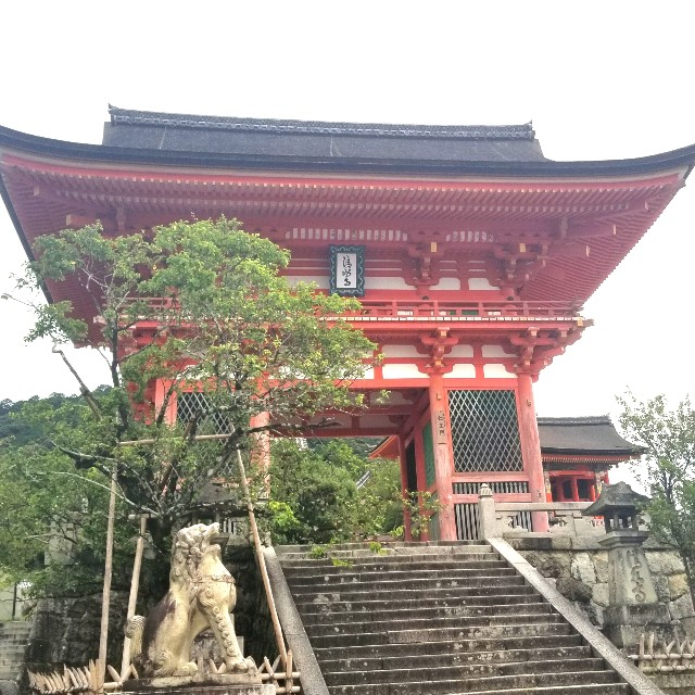 f:id:atoriatoriatori:20200904142245j:image