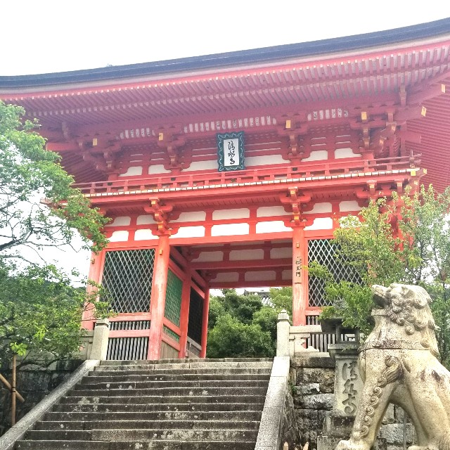 f:id:atoriatoriatori:20200904143020j:image