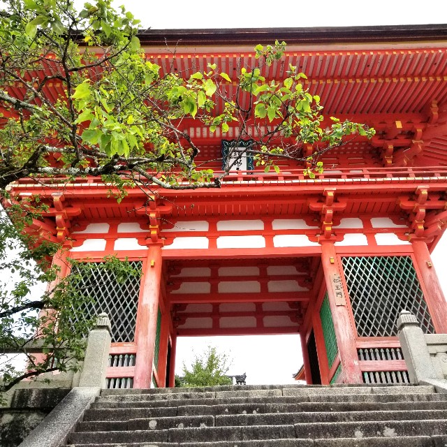 f:id:atoriatoriatori:20200904143039j:image