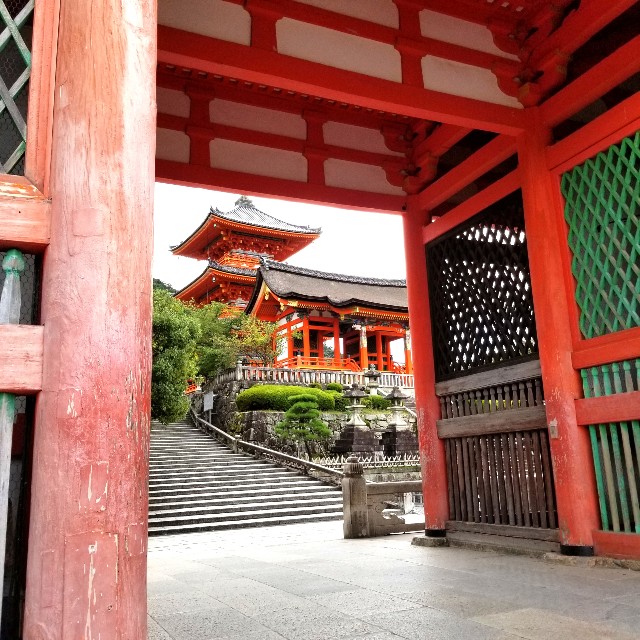 f:id:atoriatoriatori:20200904143050j:image