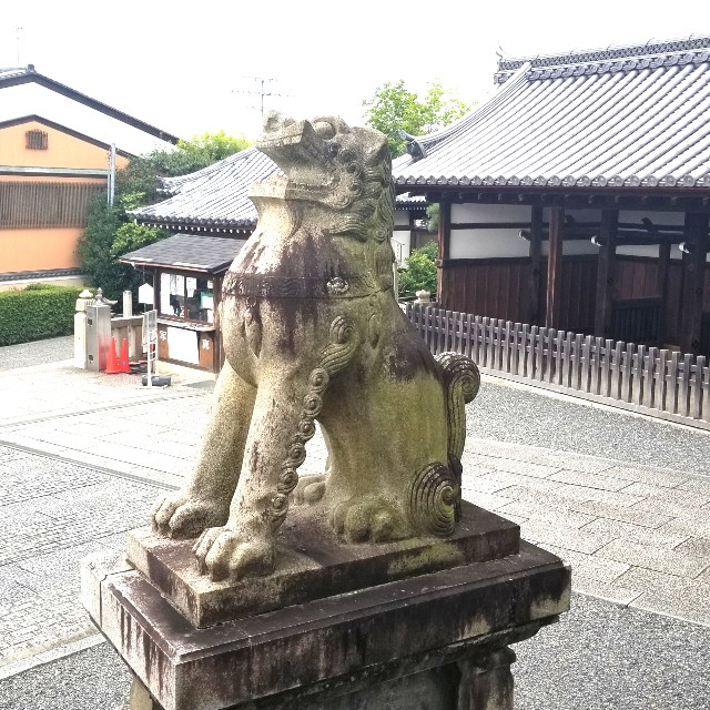 f:id:atoriatoriatori:20200904152550j:image