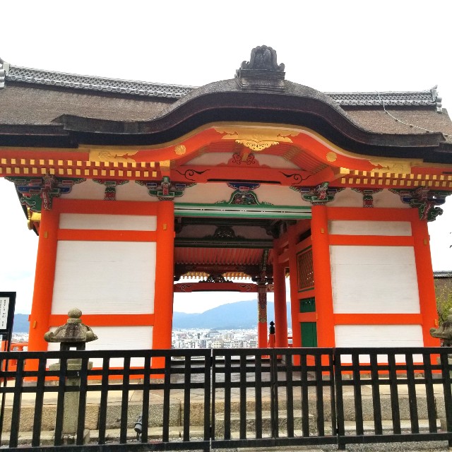 f:id:atoriatoriatori:20200904220636j:image