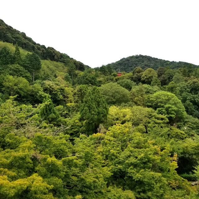 f:id:atoriatoriatori:20200910101140j:image