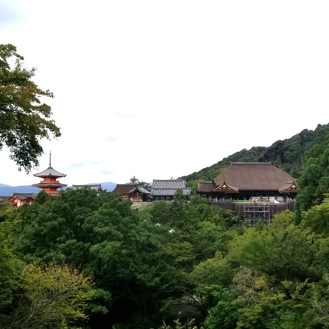 f:id:atoriatoriatori:20200910101327j:image