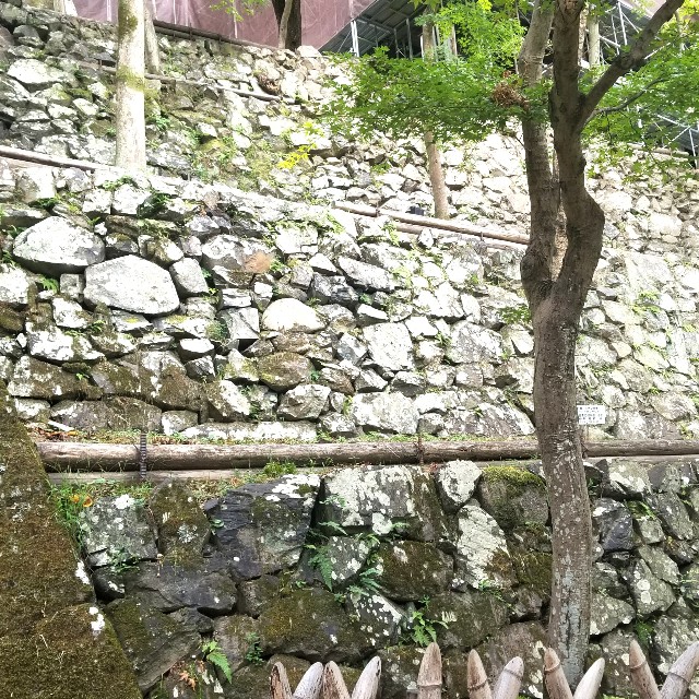 f:id:atoriatoriatori:20200910121237j:image