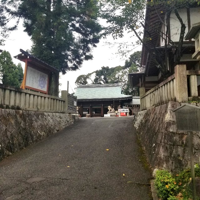 f:id:atoriatoriatori:20200910162303j:image f:id:atoriatoriatori:20200910162303j:image