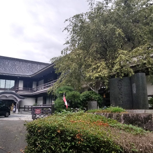 f:id:atoriatoriatori:20200910164142j:image f:id:atoriatoriatori:20200910164142j:image