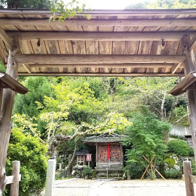 f:id:atoriatoriatori:20200916120132j:image