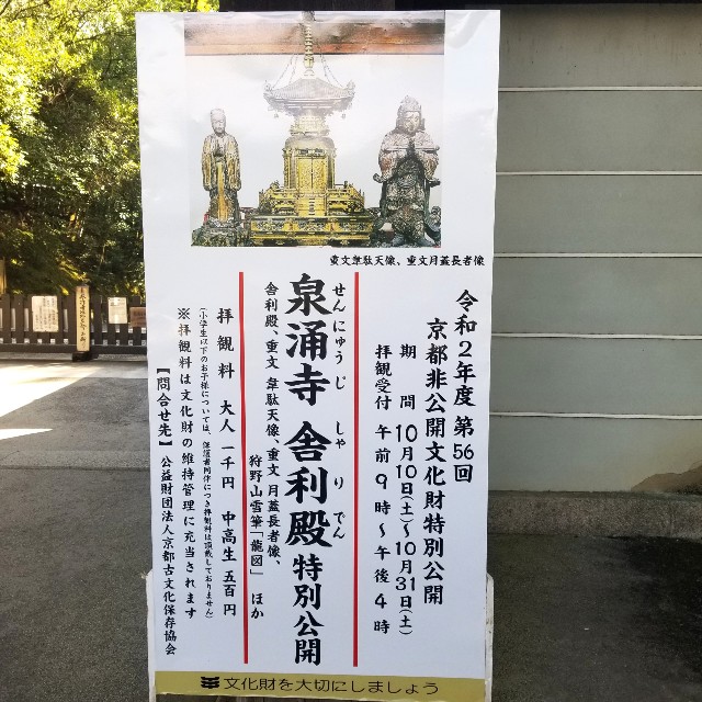 f:id:atoriatoriatori:20201031132501j:image f:id:atoriatoriatori:20201031132501j:image