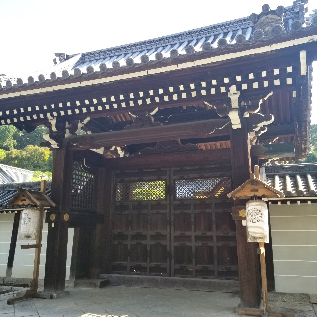 f:id:atoriatoriatori:20201031154046j:image f:id:atoriatoriatori:20201031154046j:image