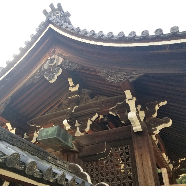 f:id:atoriatoriatori:20201031163548j:image f:id:atoriatoriatori:20201031163548j:image