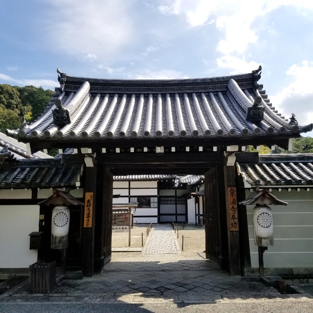 f:id:atoriatoriatori:20201031163557j:image f:id:atoriatoriatori:20201031163557j:image