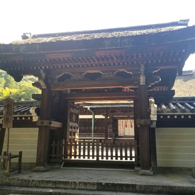 f:id:atoriatoriatori:20201031200140j:image f:id:atoriatoriatori:20201031200140j:image