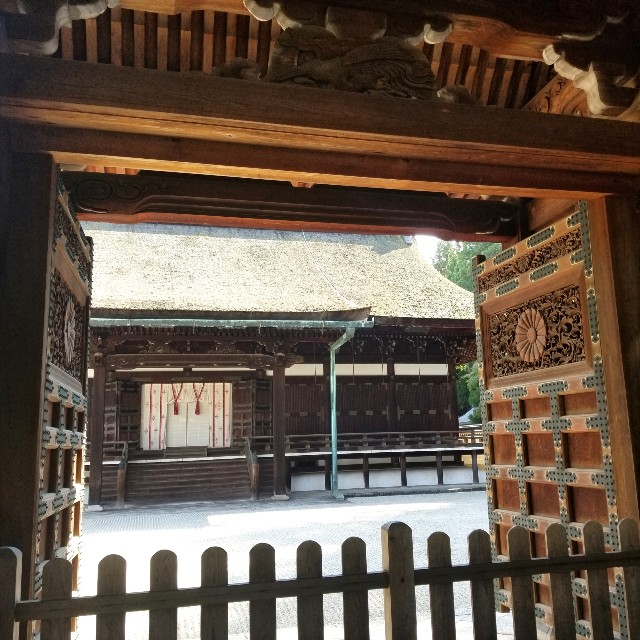 f:id:atoriatoriatori:20201031200152j:image f:id:atoriatoriatori:20201031200152j:image