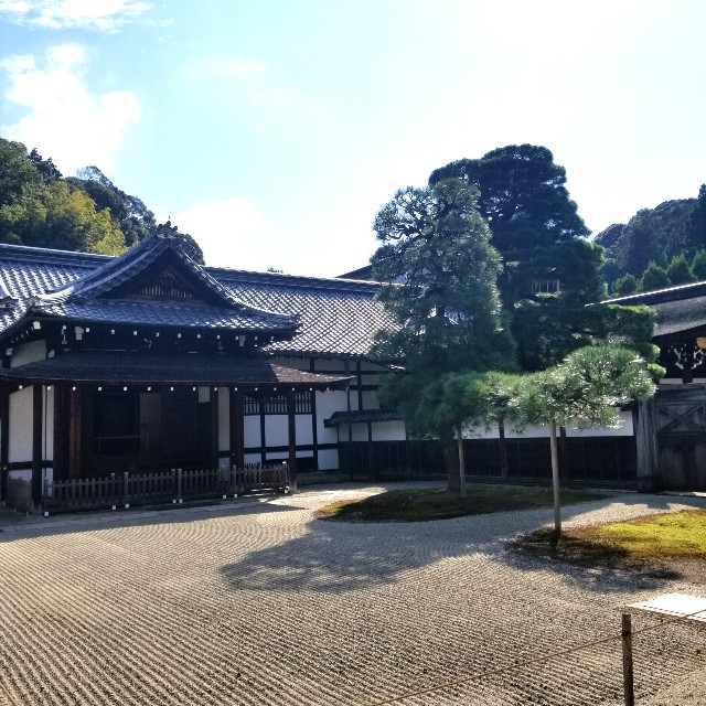 f:id:atoriatoriatori:20201031223336j:image f:id:atoriatoriatori:20201031223336j:image