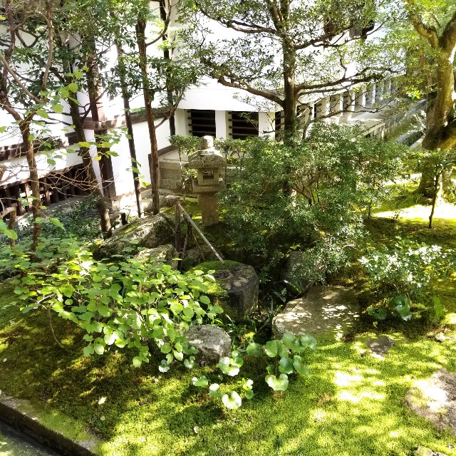 f:id:atoriatoriatori:20201101172234j:image f:id:atoriatoriatori:20201101172234j:image