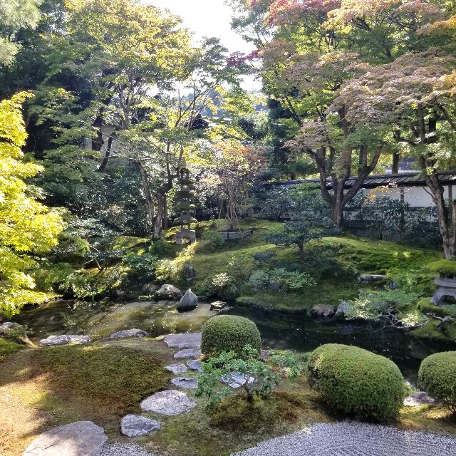 f:id:atoriatoriatori:20201101172242j:image f:id:atoriatoriatori:20201101172242j:image