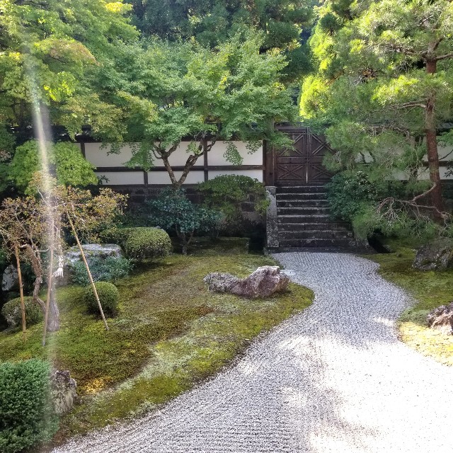 f:id:atoriatoriatori:20201101172258j:image f:id:atoriatoriatori:20201101172258j:image