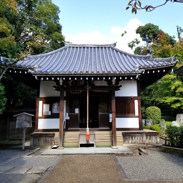 f:id:atoriatoriatori:20201101172851j:image f:id:atoriatoriatori:20201101172851j:image