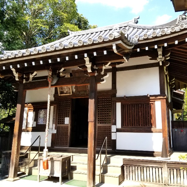 f:id:atoriatoriatori:20201101172903j:image f:id:atoriatoriatori:20201101172903j:image