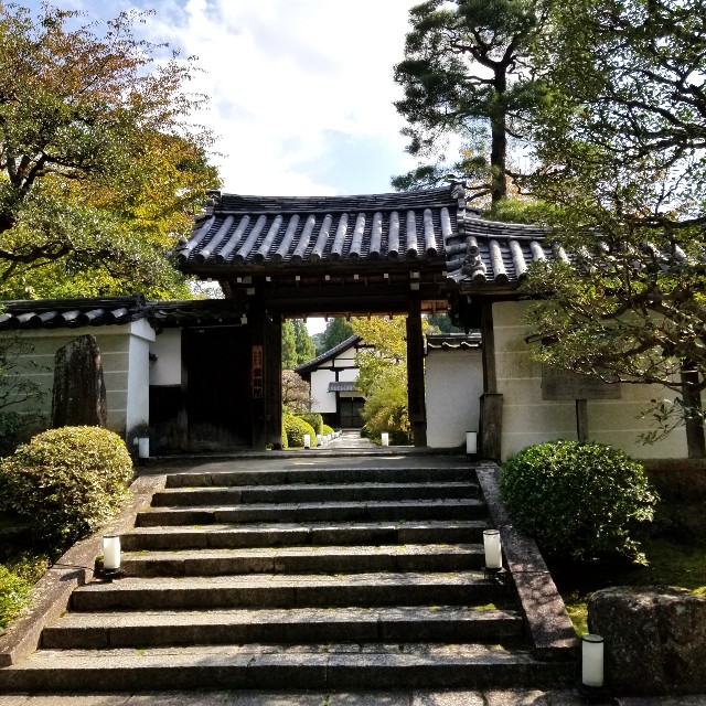 f:id:atoriatoriatori:20201103093059j:image