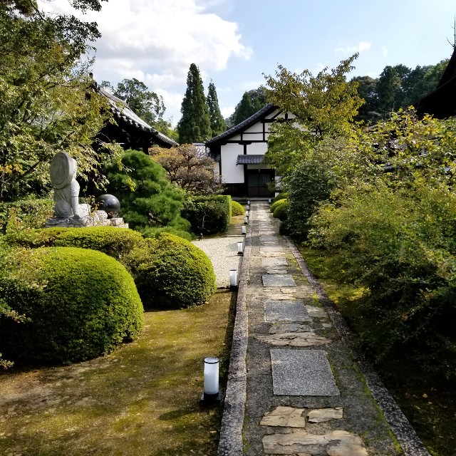 f:id:atoriatoriatori:20201103093332j:image