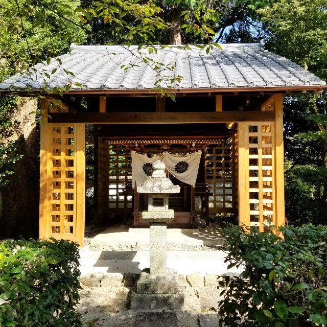 f:id:atoriatoriatori:20201103093341j:image