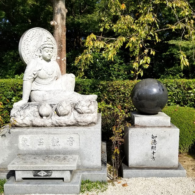 f:id:atoriatoriatori:20201103093349j:image