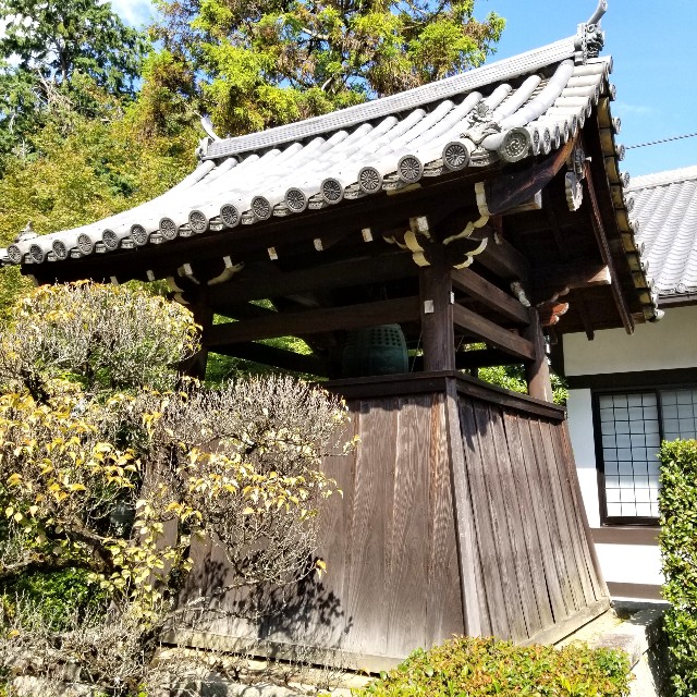 f:id:atoriatoriatori:20201103095523j:image