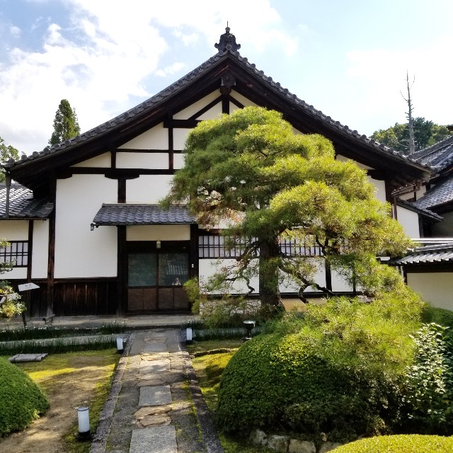 f:id:atoriatoriatori:20201103095532j:image