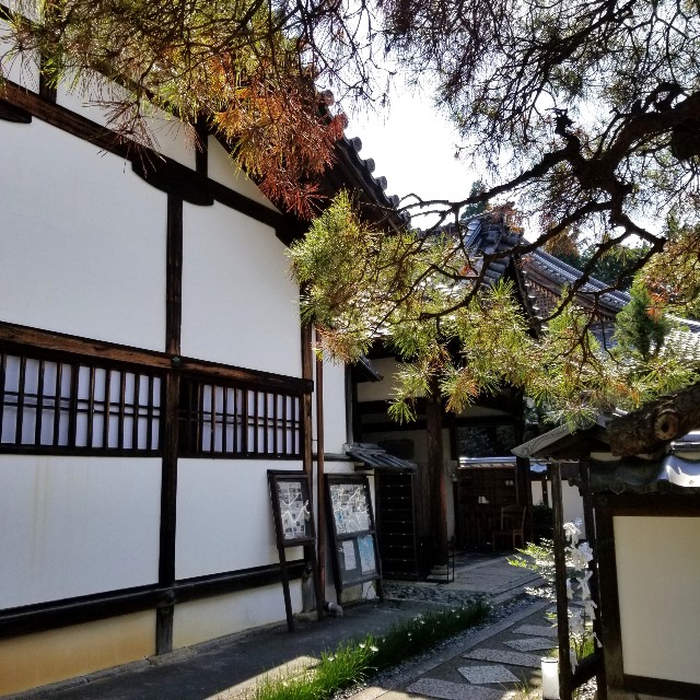 f:id:atoriatoriatori:20201103100928j:image