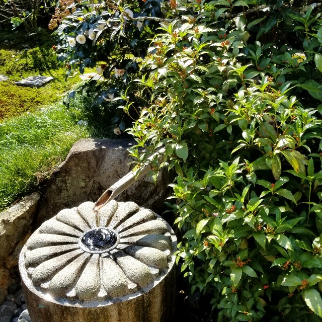 f:id:atoriatoriatori:20201103102102j:image